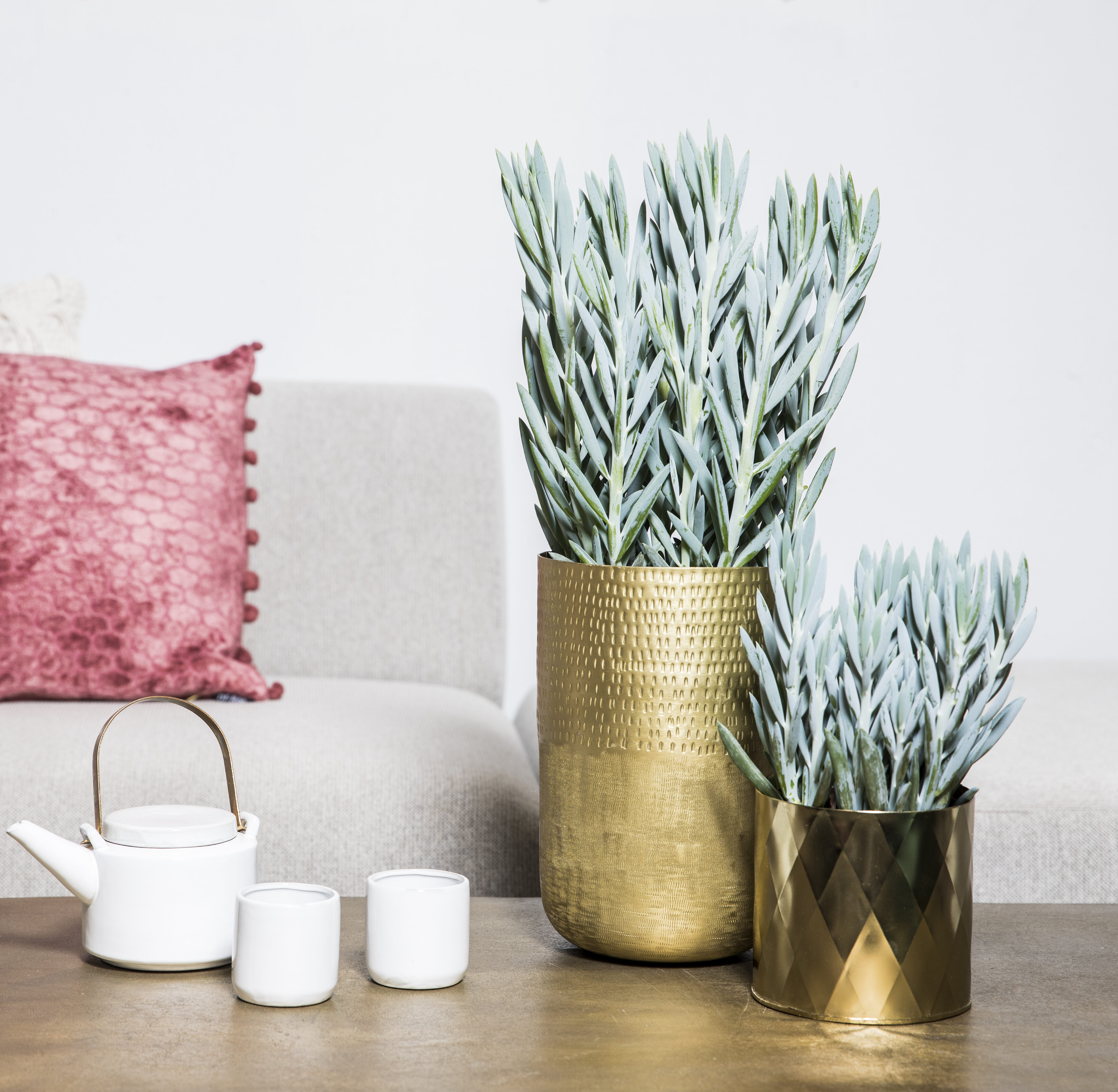 disco plant Disco Ball Hanging Planter
